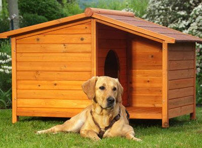 hundkoja med sadeltak